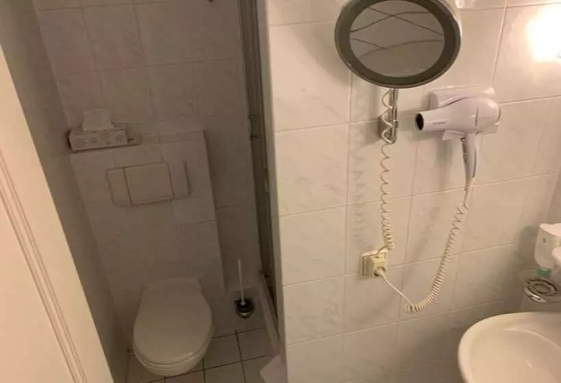 Fotos del hotel Windsor:  8