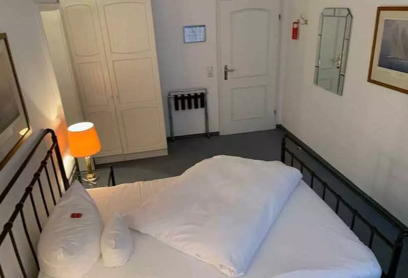 Fotos del hotel Windsor:  16