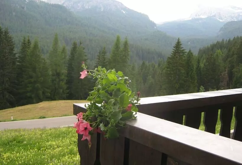 Fotos del hotel Sport  Pocol:  22