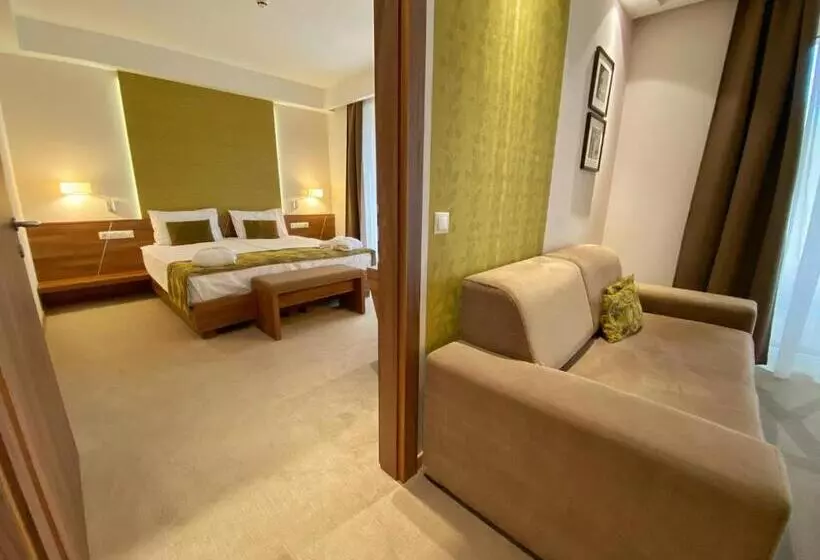 Fotos del hotel Imola Hotel Platán:  14