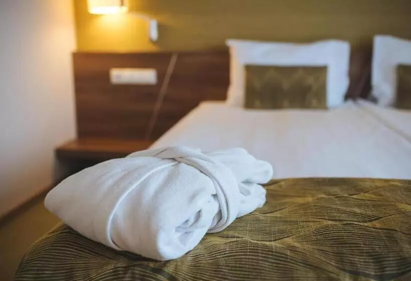 Fotos del hotel Imola Hotel Platán:  24