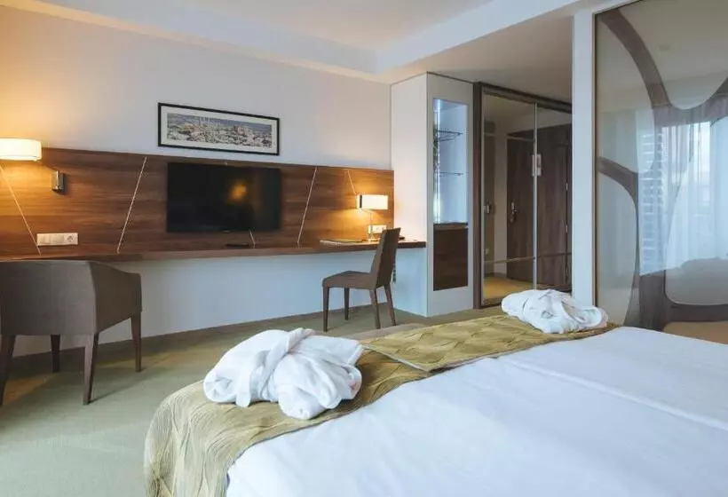 Fotos del hotel Imola Hotel Platán:  21