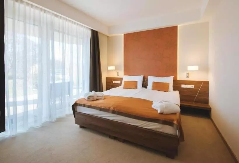 Fotos del hotel Imola Hotel Platán:  18