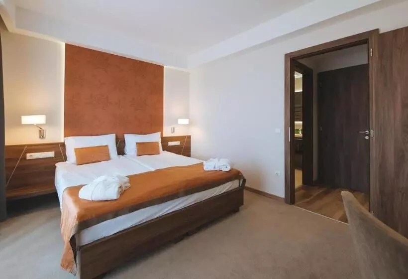 Fotos del hotel Imola Hotel Platán:  16