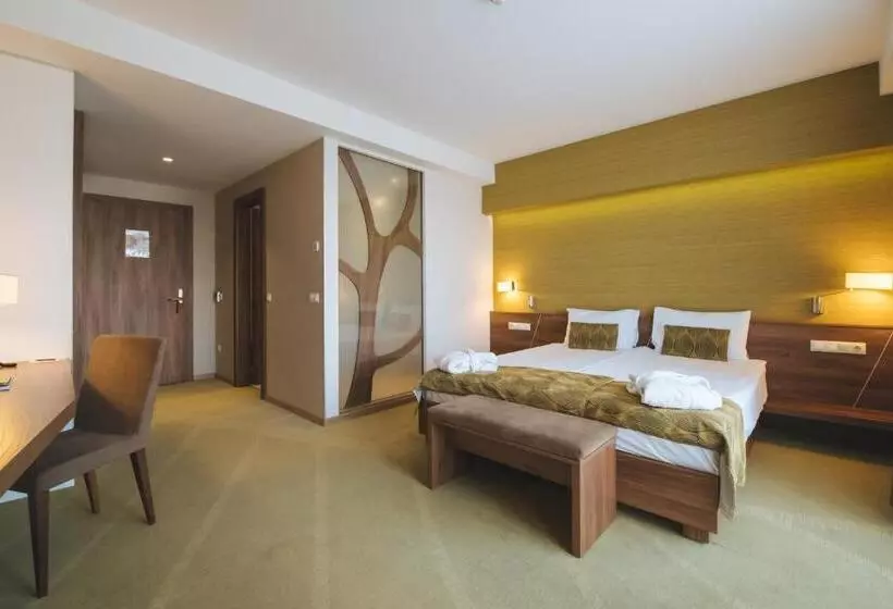 Fotos del hotel Imola Hotel Platán:  9