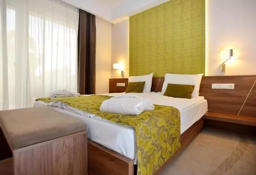 Fotos del hotel Imola Hotel Platán:  17