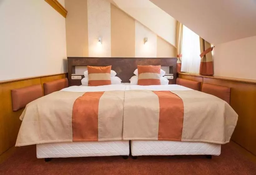 Fotos del hotel Spa Hévíz:  12