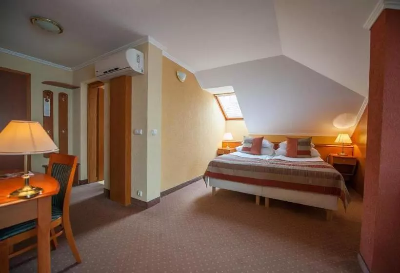 Fotos del hotel Spa Hévíz:  8