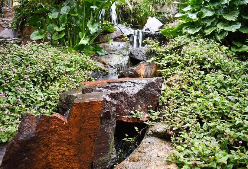 Fotos del hotel Waterfalls Boutique:  3