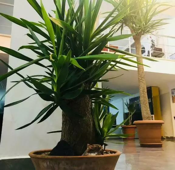 Fotos del hotel Dimo  Antalya:  15