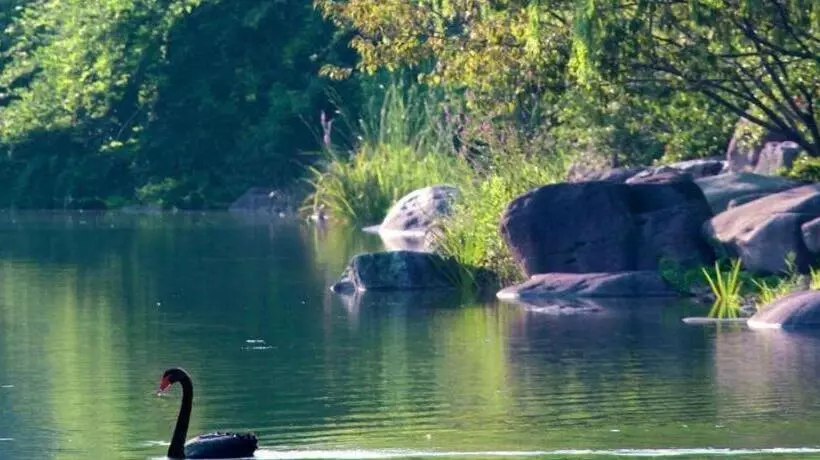 Fotos del hotel Jinji Lake Grand:  24