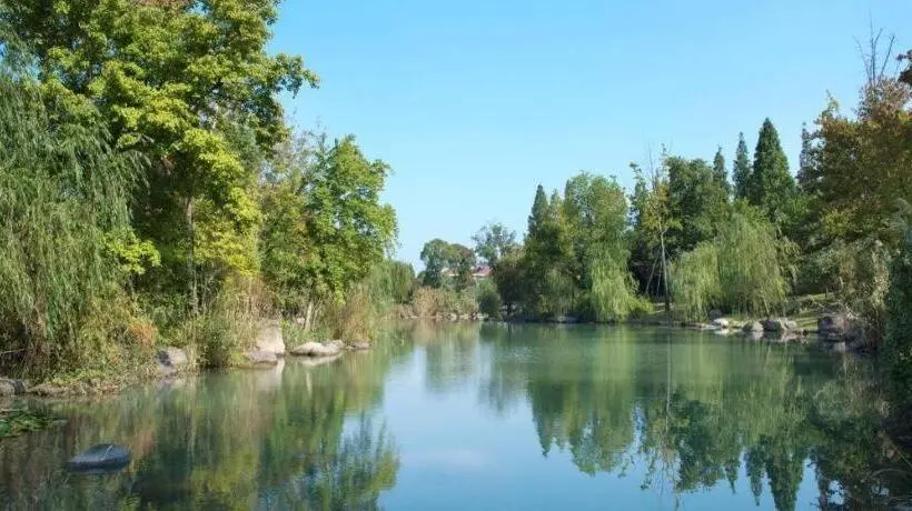 Fotos del hotel Jinji Lake Grand:  18