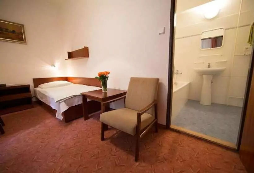 Fotos del hotel Lázenská Lécebna Mánes:  11