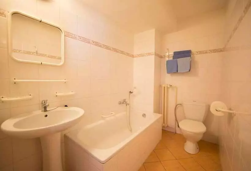 Fotos del hotel Lázenská Lécebna Mánes:  10