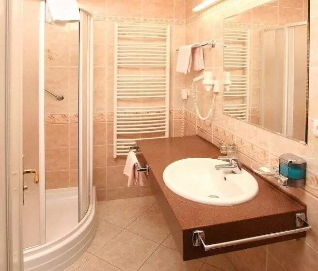 Fotos del hotel Lázenská Lécebna Mánes:  5