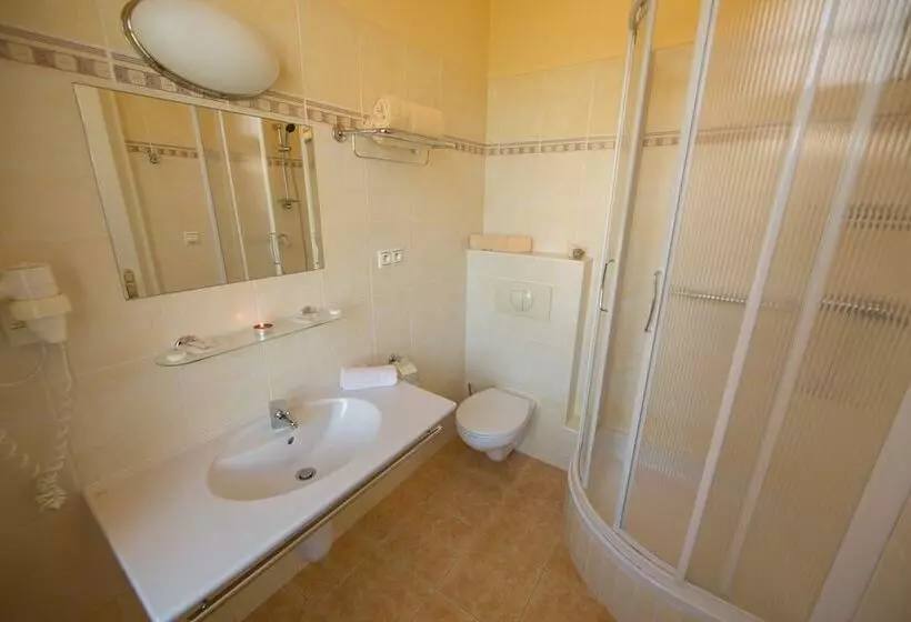 Fotos del hotel Lázenská Lécebna Mánes:  17