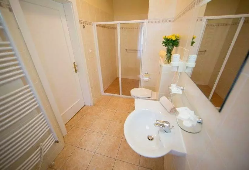 Fotos del hotel Lázenská Lécebna Mánes:  19