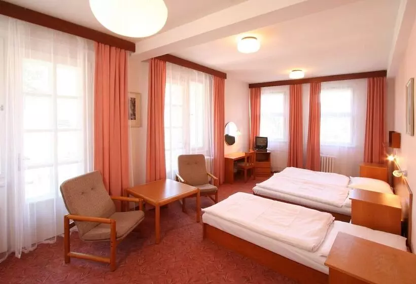 Fotos del hotel Lázenská Lécebna Mánes:  20