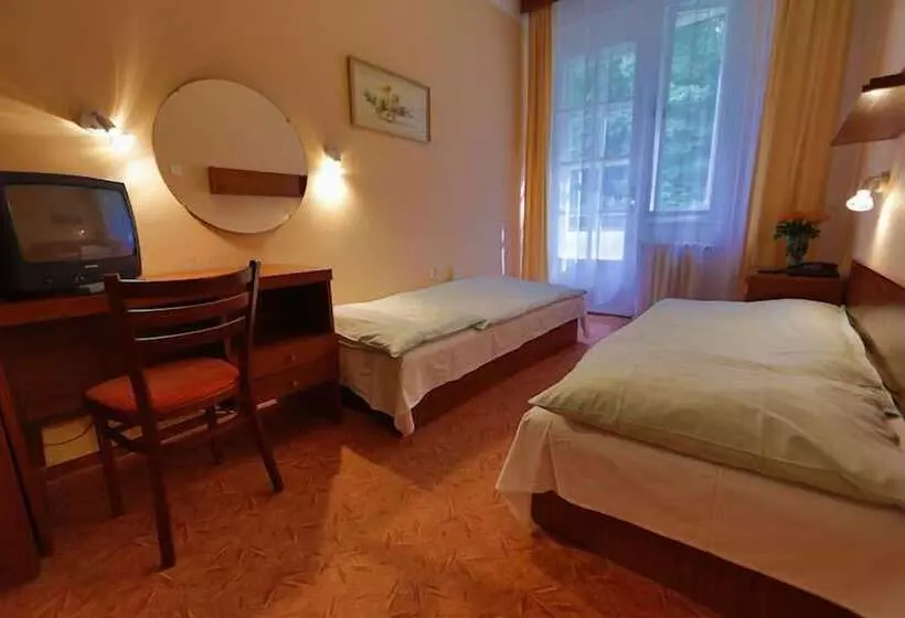 Fotos del hotel Lázenská Lécebna Mánes:  18