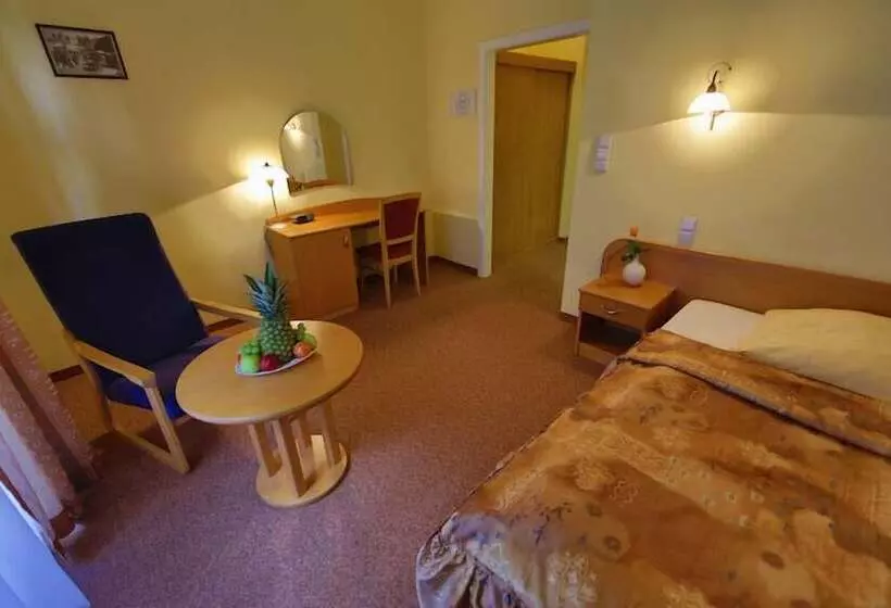 Fotos del hotel Lázenská Lécebna Mánes:  24