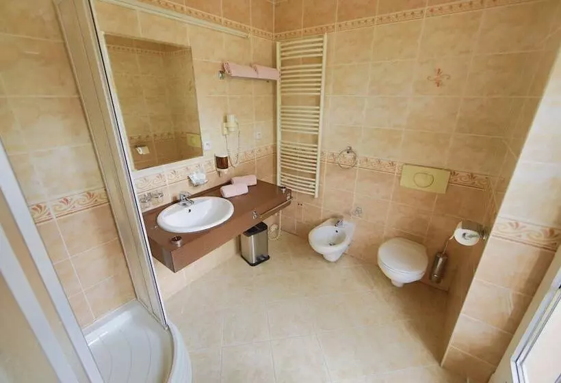 Fotos del hotel Lázenská Lécebna Mánes:  13