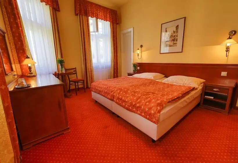 Fotos del hotel Lázenská Lécebna Mánes:  14