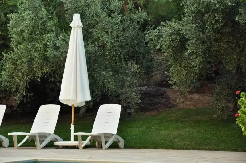 Fotos del hotel Palm Court Suites:  18