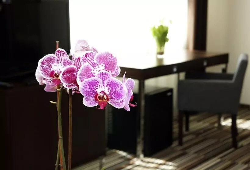 Fotos del hotel City Center House Elephant:  9