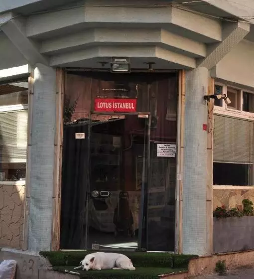 Fotos del hotel Lotus:  9