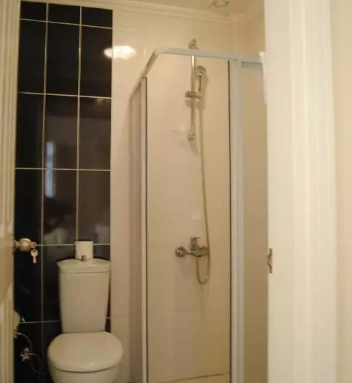 Fotos del hotel Lotus:  13