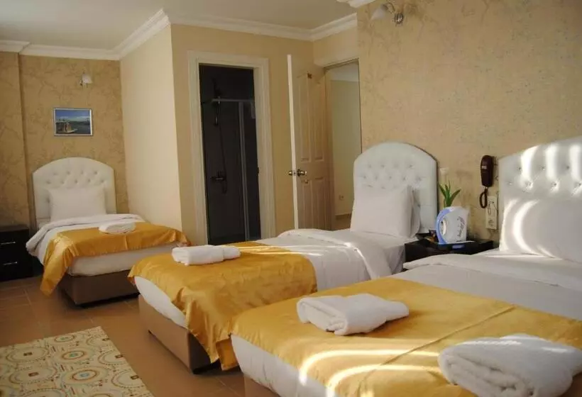 Fotos del hotel Lotus:  23