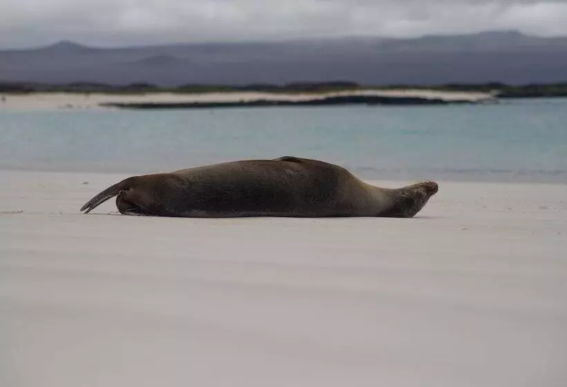 Fotos del hotel Red Booby:  5