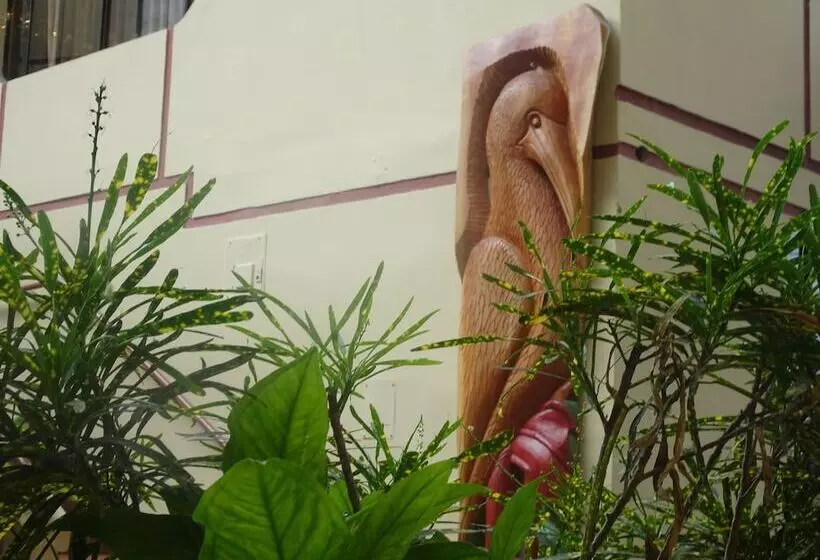 Fotos del hotel Red Booby:  13