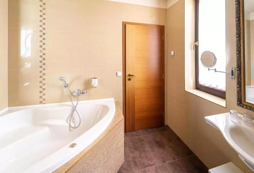 Fotos del hotel Spa Hotel Vita:  12