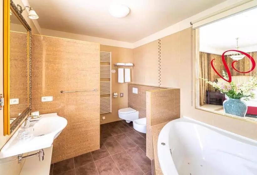 Fotos del hotel Spa Hotel Vita:  15