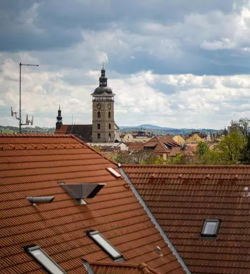 Fotos del hotel Spa Hotel Vita:  5