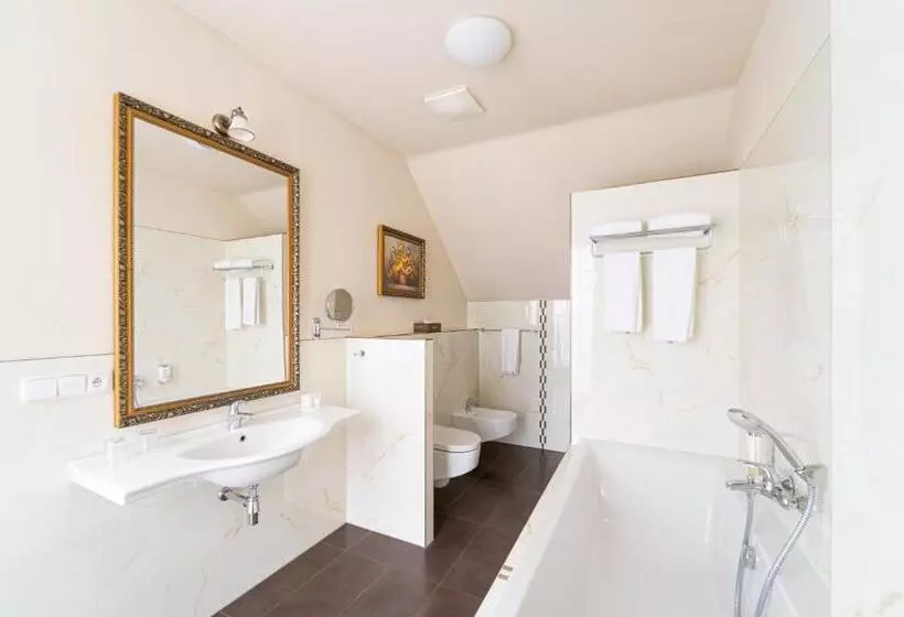 Fotos del hotel Spa Hotel Vita:  17