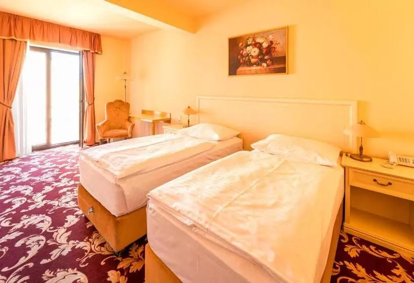 Fotos del hotel Spa Hotel Vita:  14