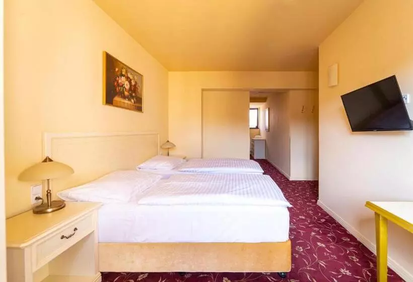 Fotos del hotel Spa Hotel Vita:  6