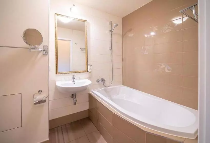 Fotos del hotel Spa Hotel Vita:  3