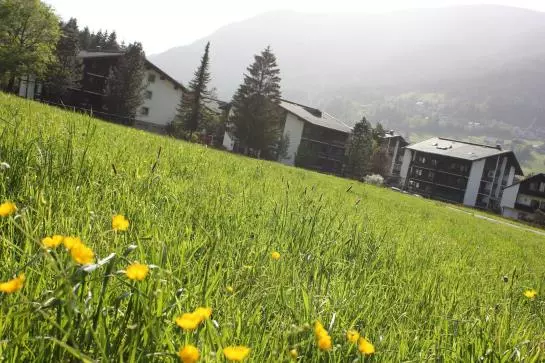 Fotos del hotel Thermenblick:  16