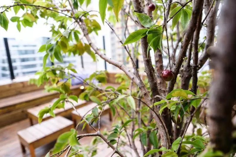 Fotos del hotel Bê:  8