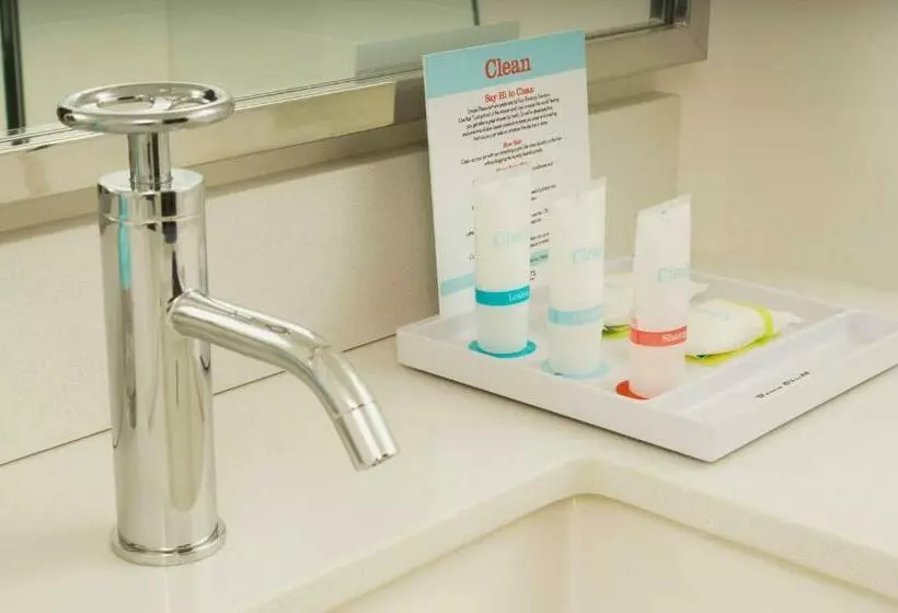 Fotos del hotel Four Points By Sheraton New York Downtown:  8