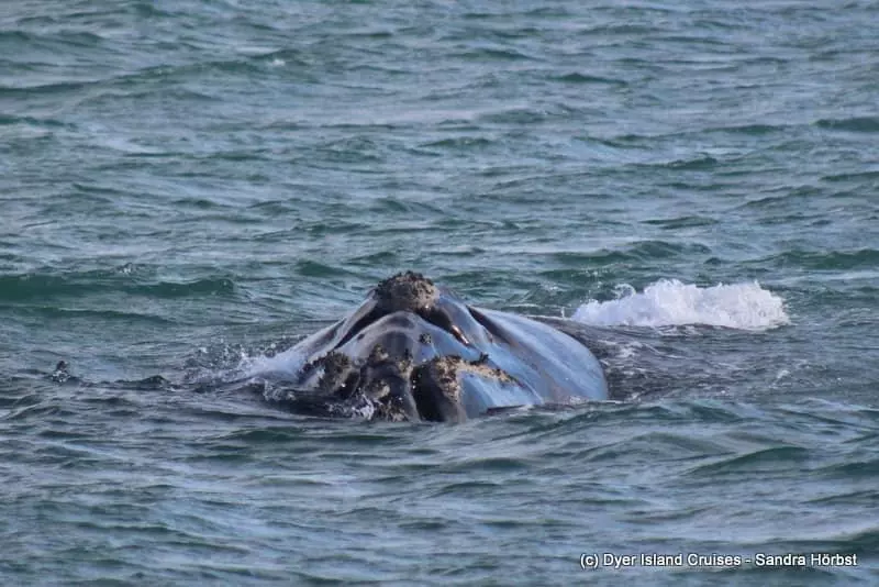 Fotos del hotel On The Cliff Guest House:  5