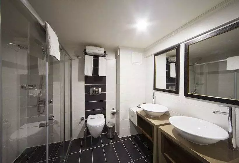 Fotos del hotel Delta  Istanbul:  11