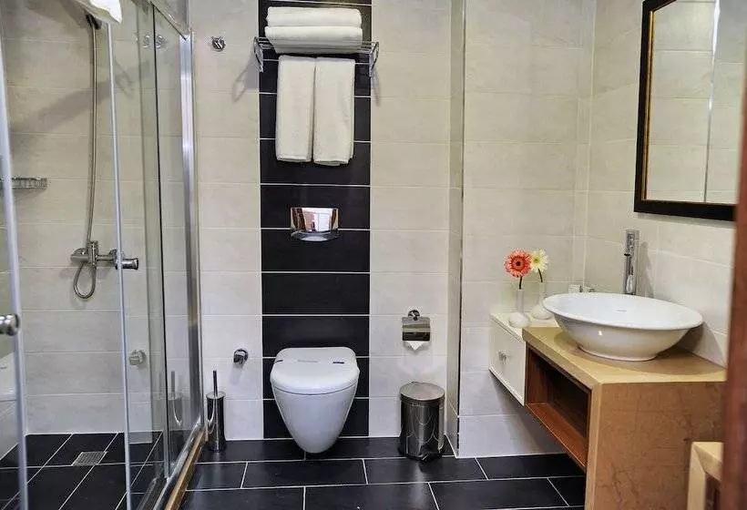 Fotos del hotel Delta  Istanbul:  6