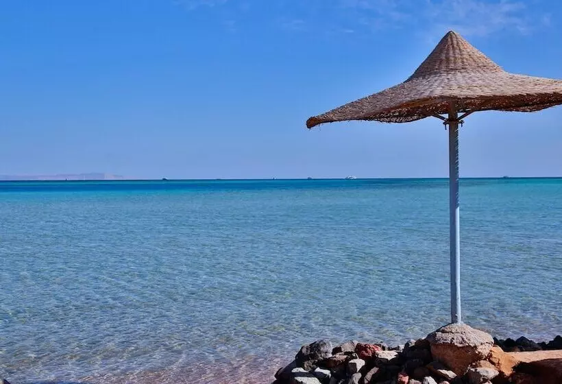 Fotos del hotel Magic Beach:  14