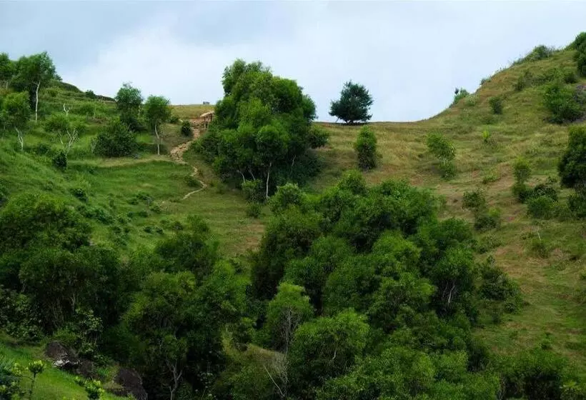 Fotos del hotel @hom  Kudus By Horison Group:  8