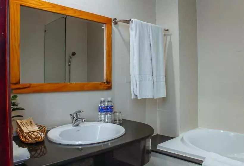 Fotos del hotel Starlet Hotel Danang:  3