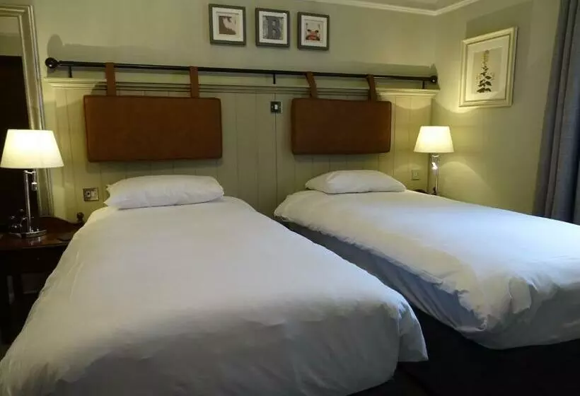 Fotos del hotel The Belmore:  20